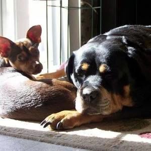 Meet your Posher, Chantele